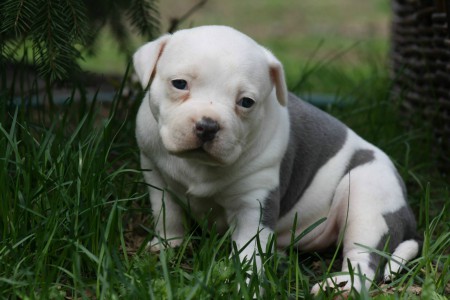 když jsem byla miminko a byly mi 4 týdny