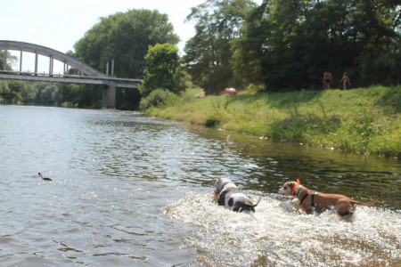 koupání s Desmíčkem