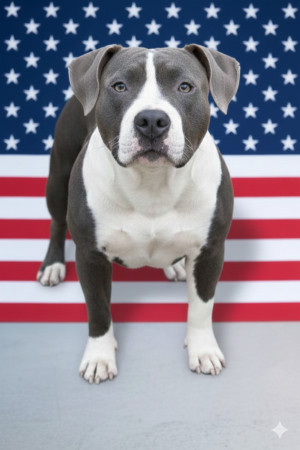 Battle Bullyz's Fíďa 